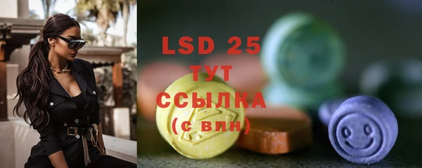 соль ск Вяземский