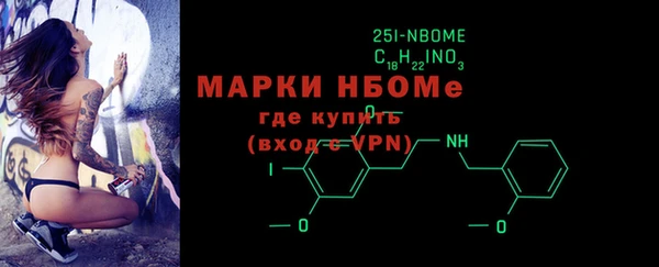 соль ск Вяземский