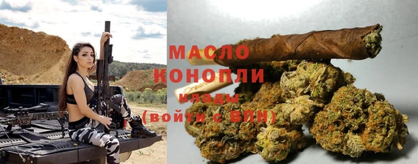соль ск Вяземский