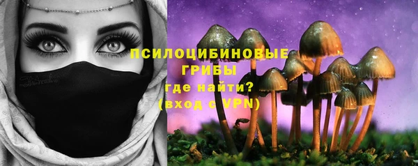 мдпв Вязники